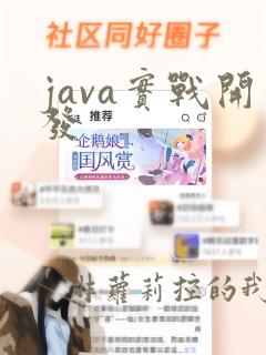 java实战开发