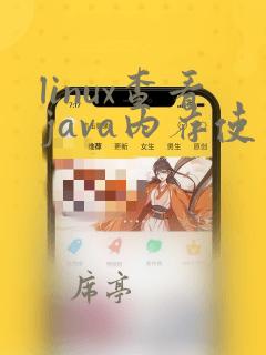 linux查看java内存使用情况