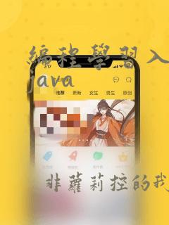 编程学习入门 java