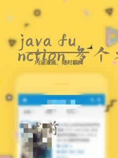 java function 多个参数