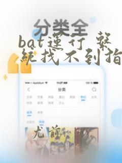 bat运行 系统找不到指定的文件