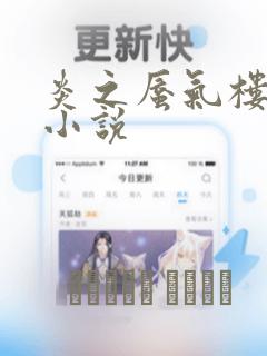 炎之蜃气楼-轻小说