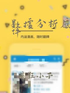 数据分析应用软件