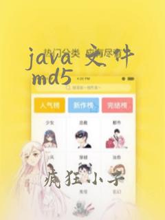java 文件 md5