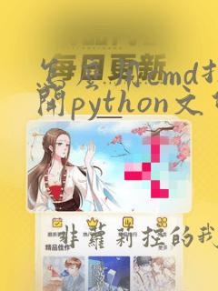 怎么用cmd打开python文件