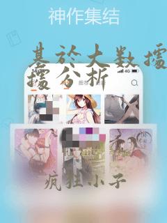 基于大数据的数据分析