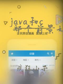 java和c  哪个前景好
