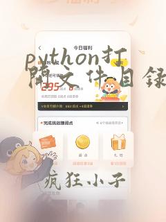 python打开文件目录
