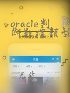 oracle判断数据类型