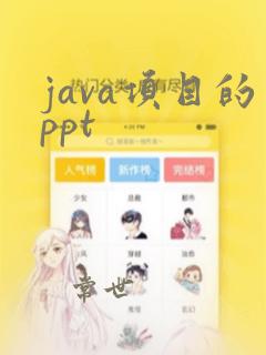 java项目的ppt