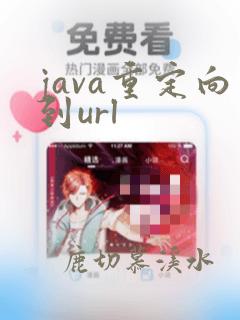 java重定向到url