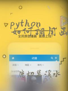 python 如何调用函数