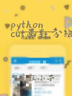 python cut函数分组