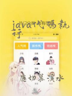 java代码执行