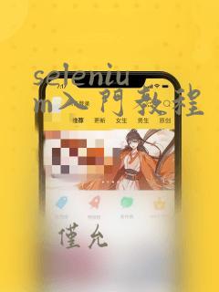 selenium入门教程