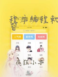 程序编程软件学习