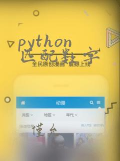 python 匹配数字