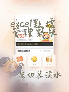 excel数据管理系统
