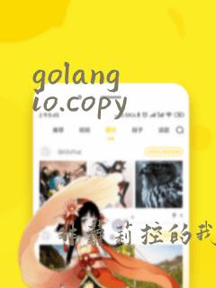 golang io.copy