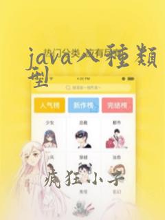 java八种类型