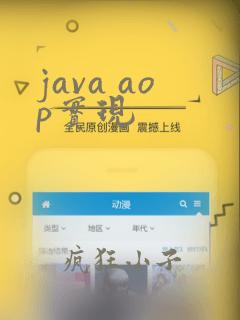 java aop实现