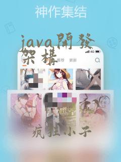 java开发 架构