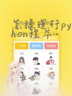 怎样运行python程序