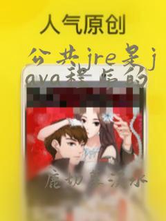 公共jre是java程序的