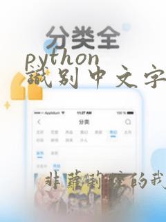 python 识别中文字符