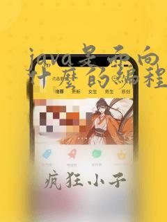 java是面向什么的编程
