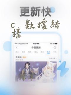 c 数据结构