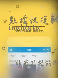 数据恢复软件finaldata