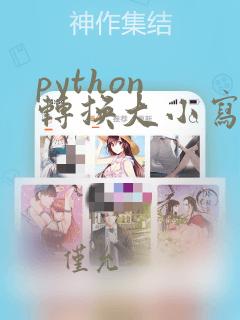 python 转换大小写函数