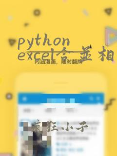 python excel合并相同数据