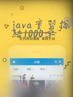 java实习总结1000字