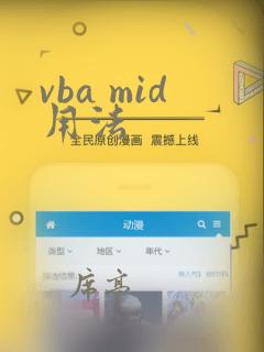 vba mid用法