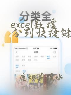 excel数据分列快捷键