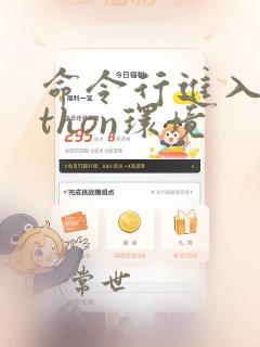 命令行进入python环境