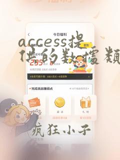 access提供的数据类型