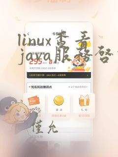 linux查看java服务启动情况