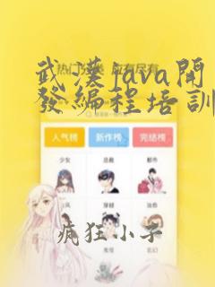 武汉java开发编程培训班