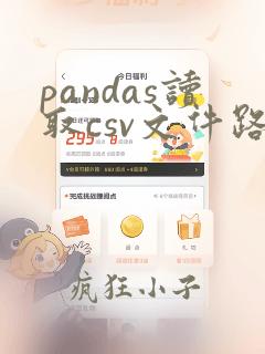 pandas读取csv文件路径名