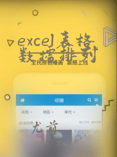 excel表格数据排列