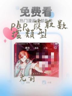php 获取数据类型
