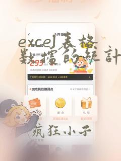excel表格数据的统计