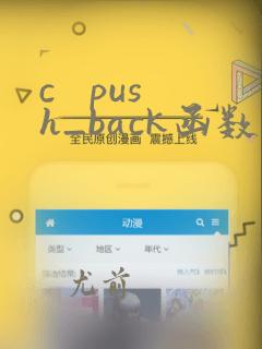 c push_back函数