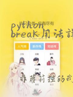 python break用法详解