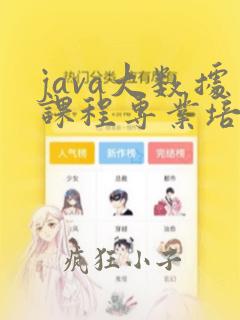 java大数据课程专业培训