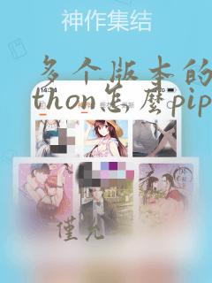 多个版本的python怎么pip