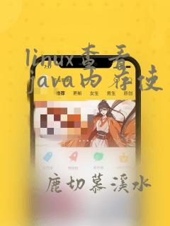 linux查看java内存使用情况